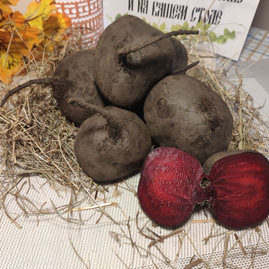 Свёкла